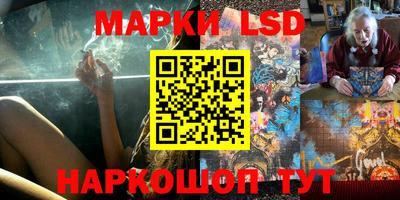 прущие грибы Абакан