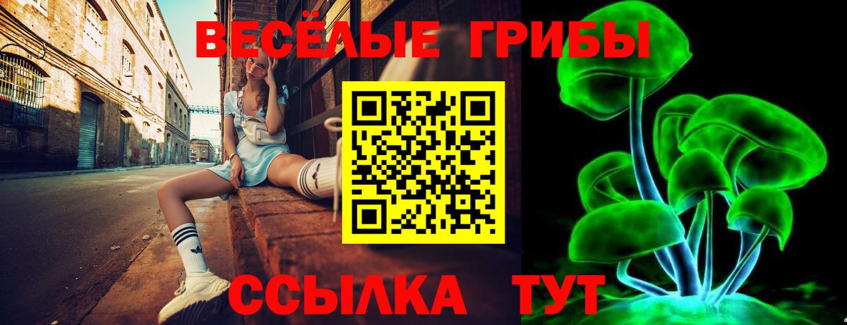 Псилоцибиновые грибы Magic Shrooms  Артёмовский  Галлюциногенные грибы MAGIC MUSHROOMS 