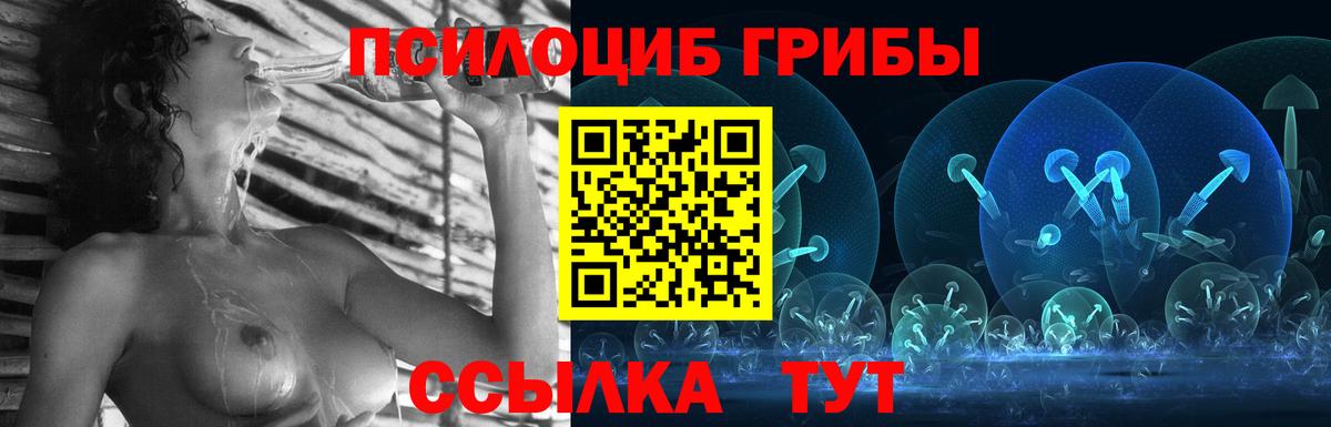 Артёмовский  Галлюциногенные грибы Psilocybe  Вход с VPN  Псилоцибиновые грибы ЛСД 